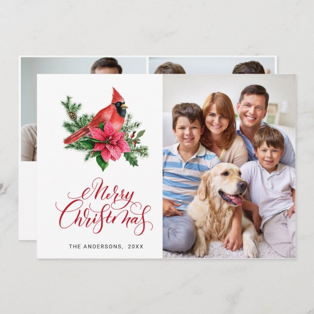 3 PHOTO Poinsettia Red Cardinal Christmas Greeting Holiday Card (Front/Back)
