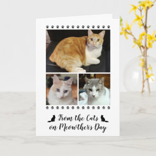 3 Photo Script From Cat Dog Pet 5x7 Mother's Day Card
