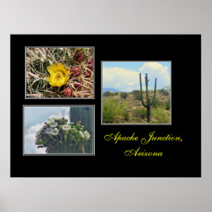 3 photos from Apache Junction,Az print