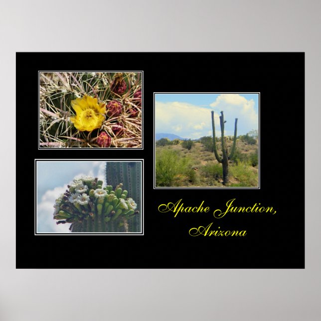 3 photos from Apache Junction,Az print (Front)