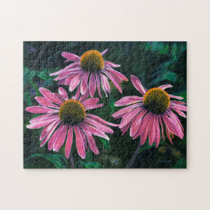 3 Pink Cone Flowers Painting Green Background Jigsaw Puzzle