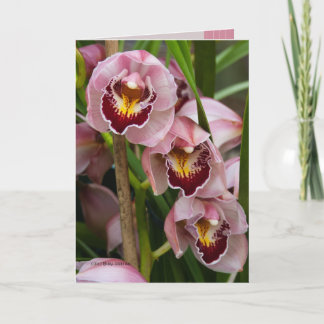 3 Pink Ladies Blooming Card
