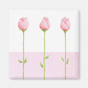 3 Pink Rosebuds Magnet