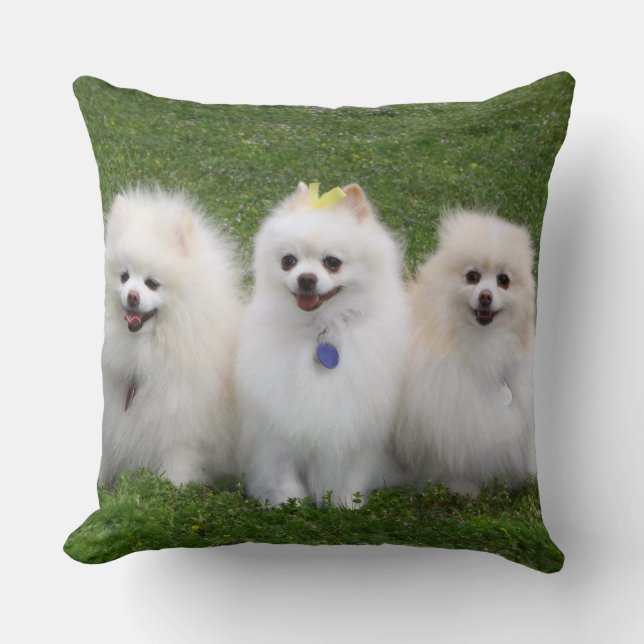 3 Pomeranians Sitting Cushion (Front)