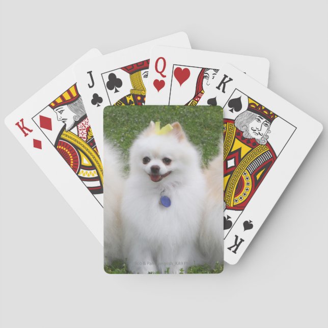 3 Pomeranians Sitting Playing Cards (Back)