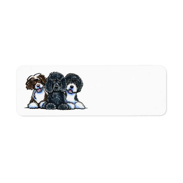 3 Portuguese Water Dogs Return Address Label (Front)