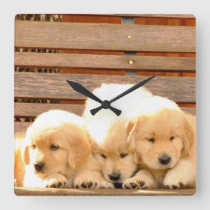 3 Puppies Clock