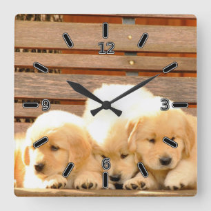 3 Puppies Clock (With Numbers)