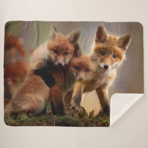 3 RED FOX PUPS SHERPA BLANKET