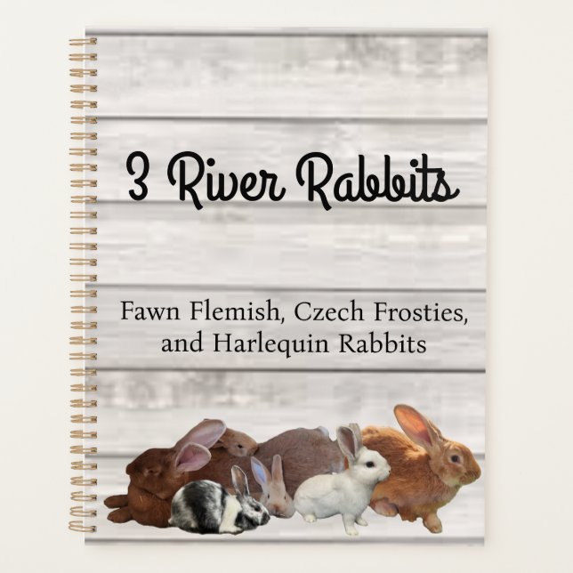 3 Rivers Rabbits Planner (Front)
