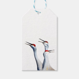 3 Sandhill Cranes Photo Gift Tag