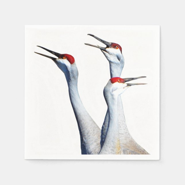 3 Sandhill Cranes Photo Paper Napkins (Front)