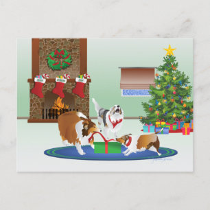 3 Shelties Unwrap Gift, Green, Christmas Holiday Postcard