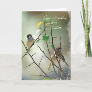 3 Song Birds Resting Birthday Card for your Sister