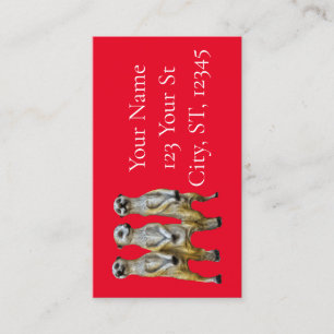 3 Standing Meerkats Thunder_Cove Calling Card