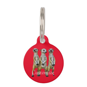 3 Standing Meerkats Thunder_Cove  Pet Tag