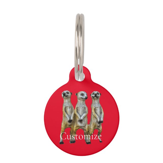 3 Standing Meerkats Thunder_Cove  Pet Tag (Front)