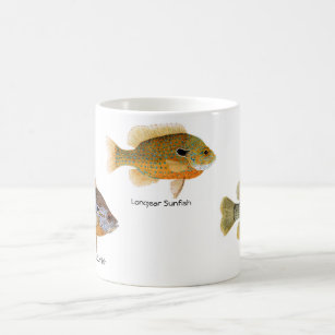 3 Sunfish on a mug