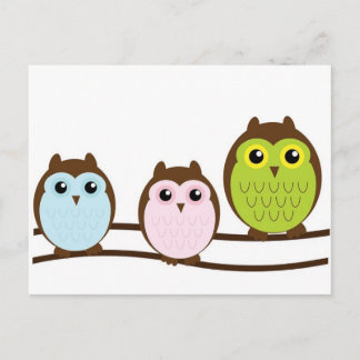 3 süße Eulen Postcard