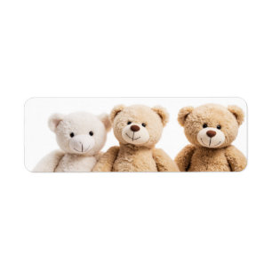 3 teddy bears  return address label