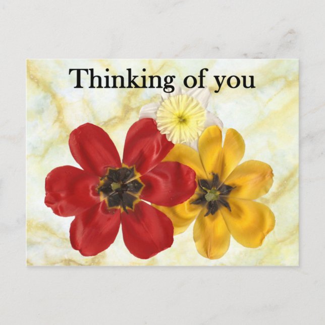 3 Thinking of you Postcard (Front)