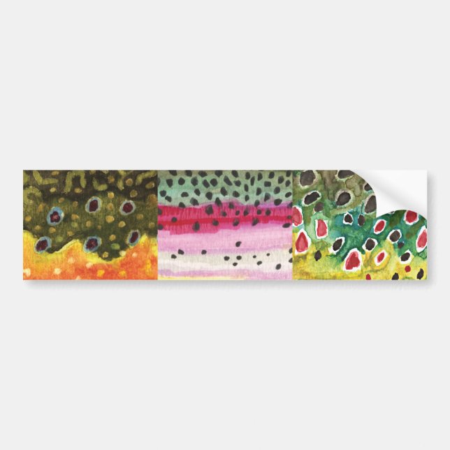 3 Trout Skins: Brook, Rainbow, Brown - Fly Fishing Bumper Sticker (Front)
