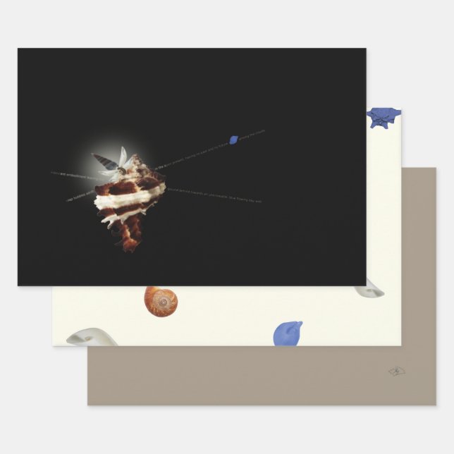 3 unique butterfly seashell beach Christmas Wrapping Paper Sheet (Set)