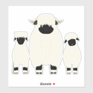 3 Valais Black Nose Sheep in a Row
