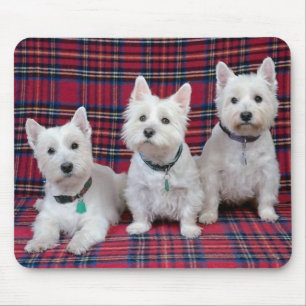 3 Westies Mouse Pad