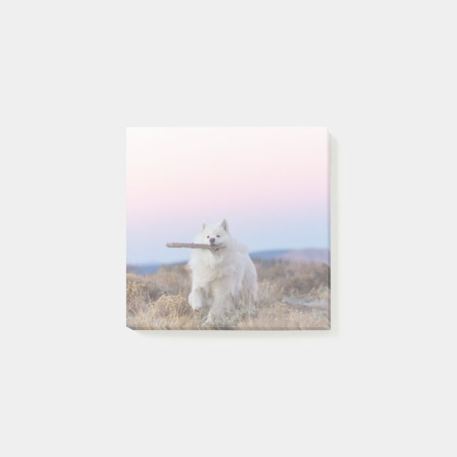 3"x3" Post-it Notes - Branch Manager (Front)