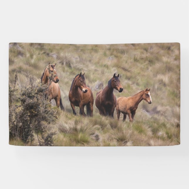 3' x 5' Banner (Horizontal)