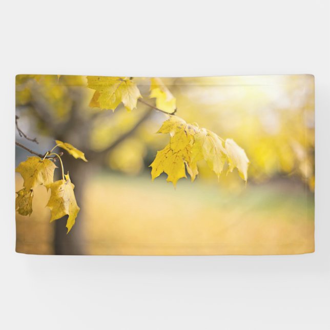 3' x 5' Banner (Horizontal)