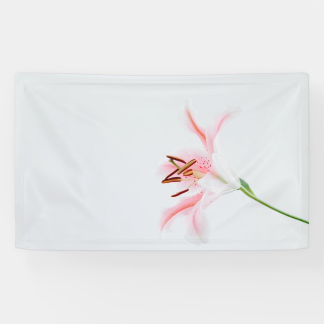 3' x 5' Banner (Horizontal)