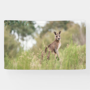 3' x 5' Banner