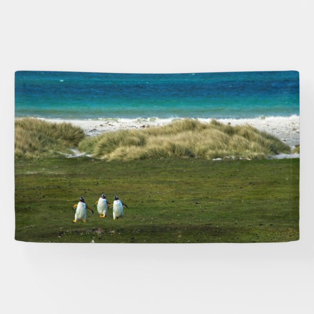 3' x 5' Banner (Horizontal)