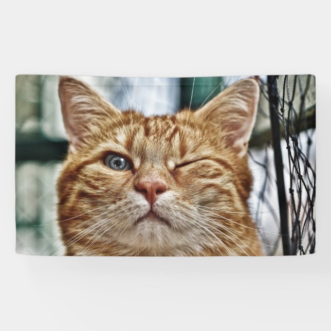 3' x 5' Banner (Horizontal)
