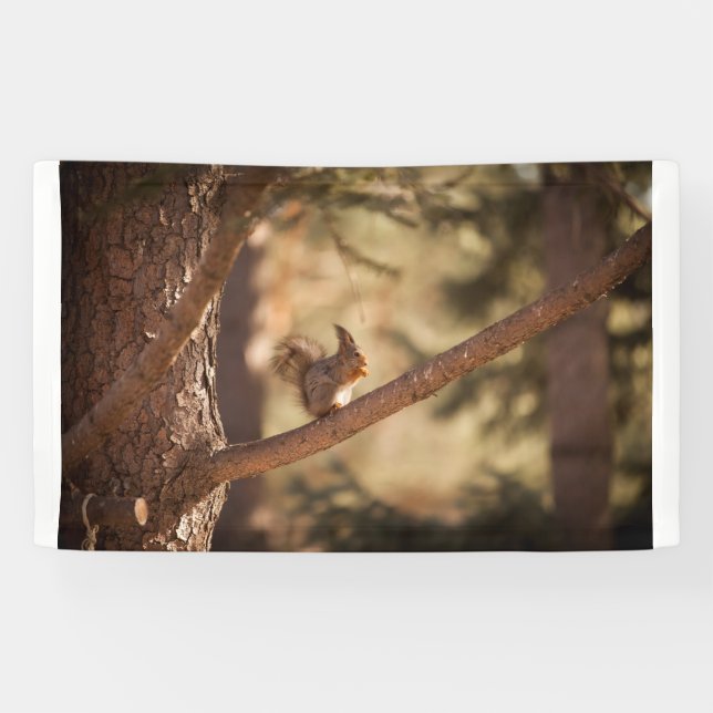 3' x 5' Banner (Horizontal)