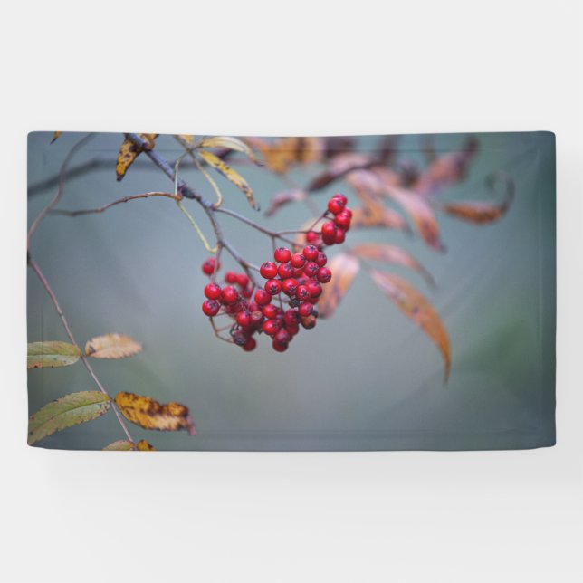 3' x 5' Banner (Horizontal)