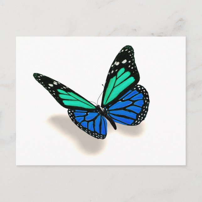 3D butterfly Postcard (Front)