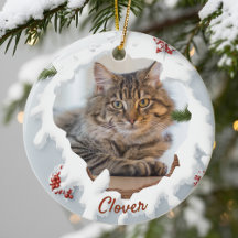 3D Cat Christmas Personalized Photo Pet Lover Gift