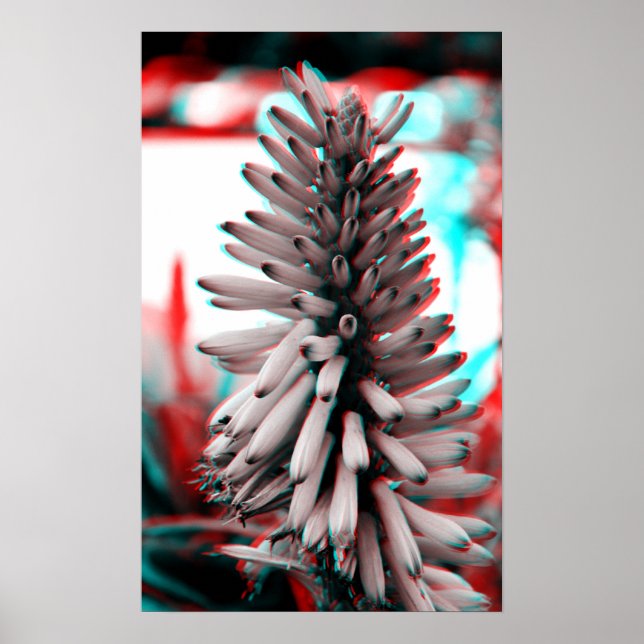 3D Crazy Flower Poster (Front)