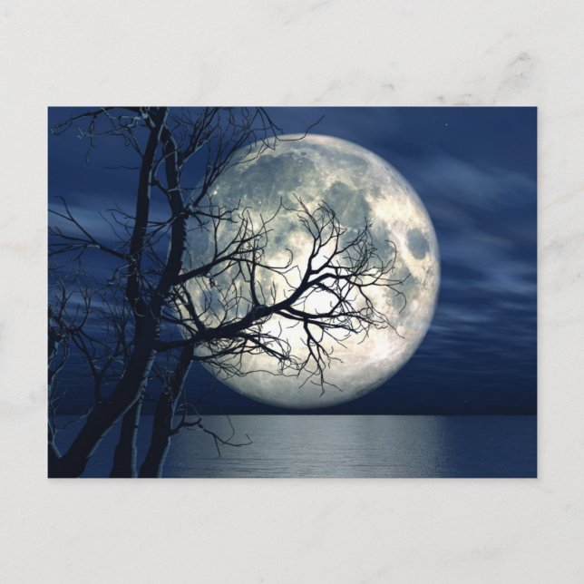 3D Landscape Background With Moon Over The Sea Postcard (Front)
