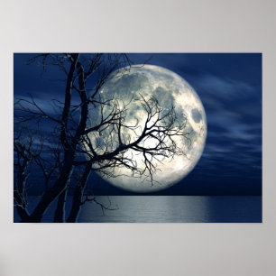 3D Landscape Background With Moon Over The Sea Poster