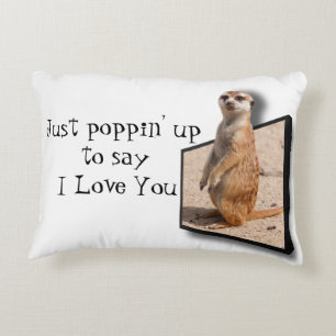 3D Meerkat lets you know he loves you and he cares Decorative Cushion