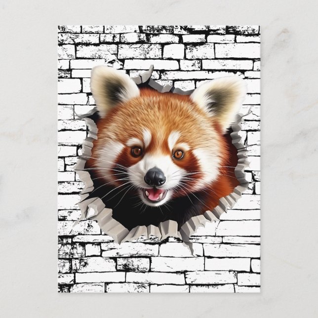 3D Red Panda Wall Break Art – Realistic Safari Postcard (Front)
