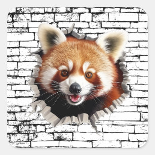 3D Red Panda Wall Break Art – Realistic Safari Square Sticker