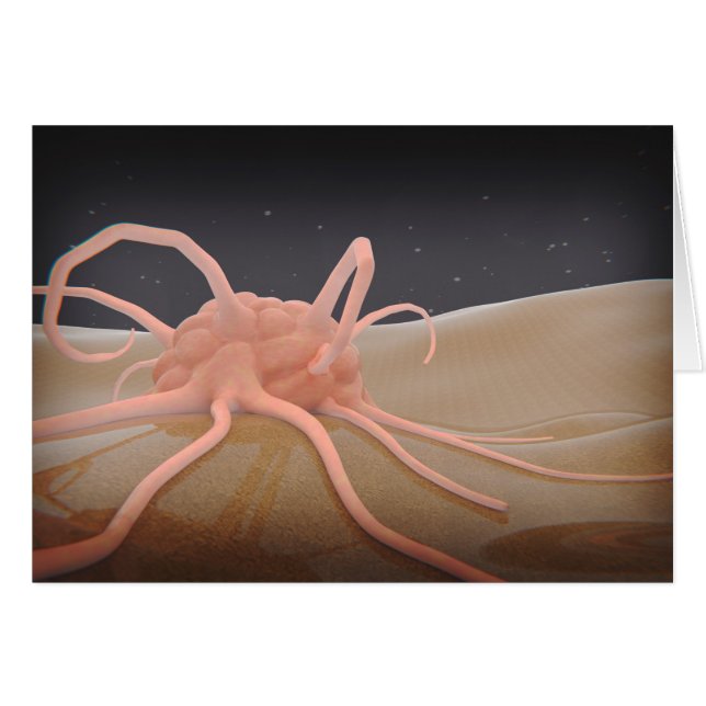 3D Rendering Of Macrophage Phagocytosis (Front Horizontal)