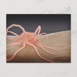 3D Rendering Of Macrophage Phagocytosis Postcard
