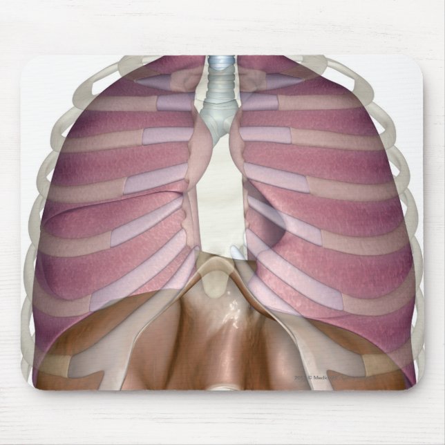3d rendering of the respiratory system mouse pad (Front)