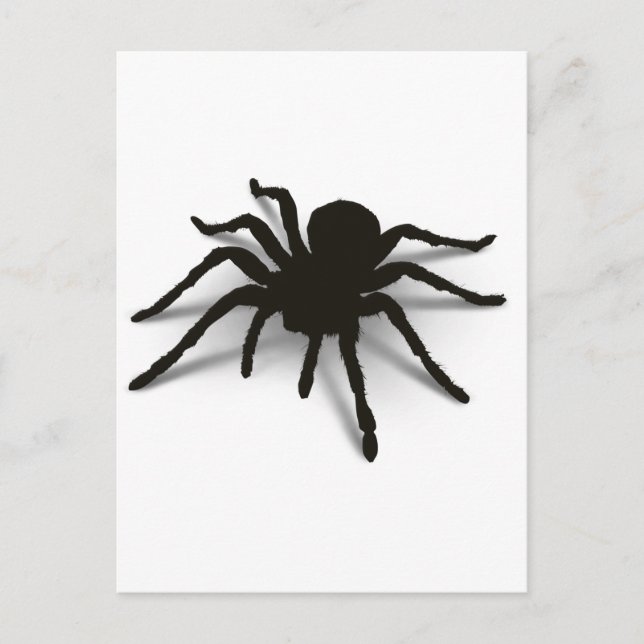 3D Spider Postcard (Front)
